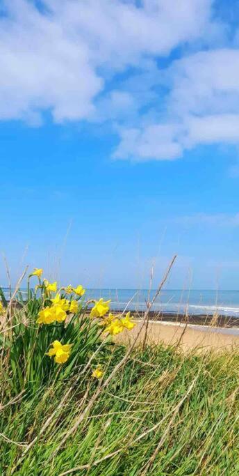 Herne Bay Central - 2 Minutes From Beach Apartment Luaran gambar