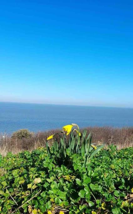 Herne Bay Central - 2 Minutes From Beach Apartment Luaran gambar