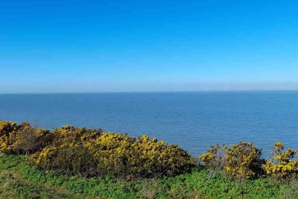Herne Bay Central - 2 Minutes From Beach Apartment Luaran gambar